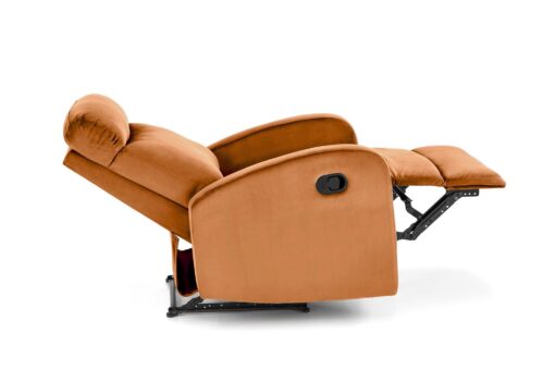 WONDER cinnamon - Image 6